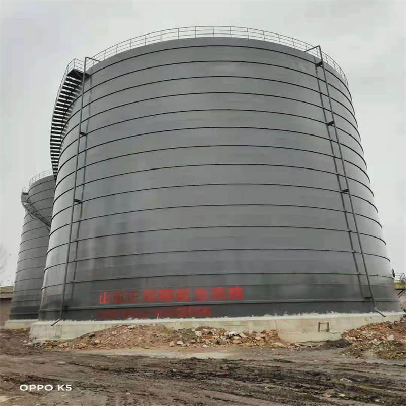 金阳3万吨大型钢板库