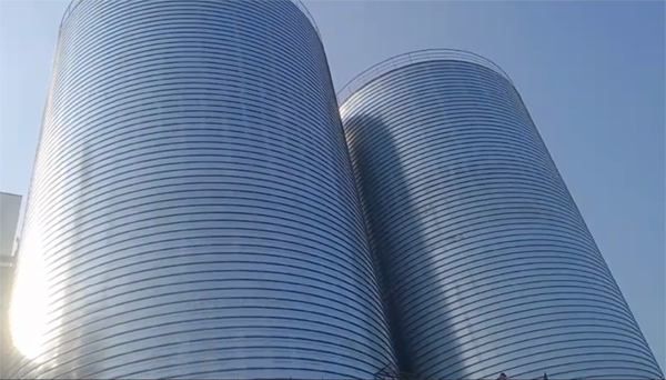 金阳2座混凝土高架卷板仓